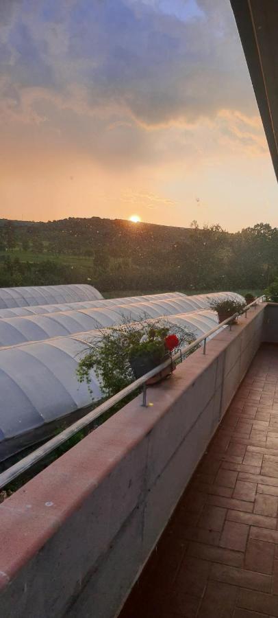 Casa Vacanze Cerreto 3 Miglianico Zewnętrze zdjęcie